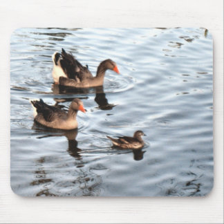 Duck Family Mouse Pad