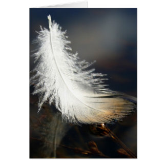 Duck Feather Cards