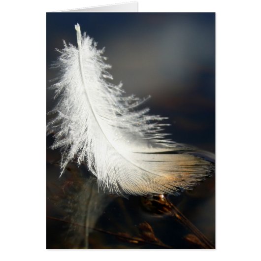 Duck Feather Cards (Front)