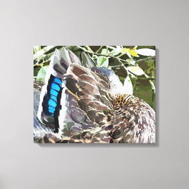 DUCK FEATHERS CANVAS PRINT (Front)