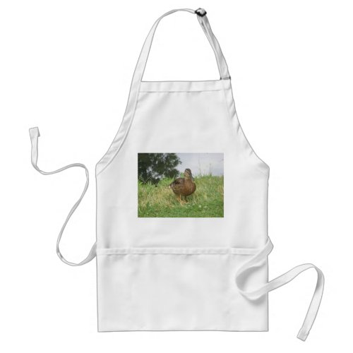 Duck Female Mallard Pretty Photograph Adult Apron