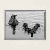 Duck formation (Back)