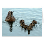 Duck Formation (Front Horizontal)