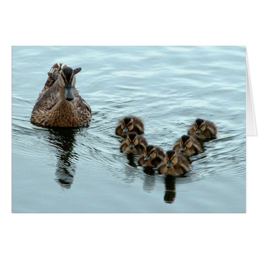 Duck Formation Cards (Front Horizontal)
