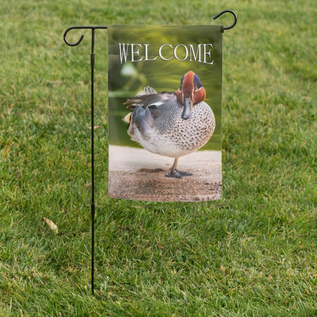 Duck Gets A Leg Up Garden Flag (In SItu)