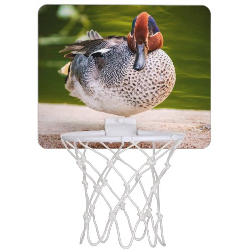 Duck Gets A Leg Up Mini Basketball Hoop