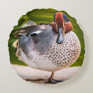 Duck Gets A Leg Up Round Pillow