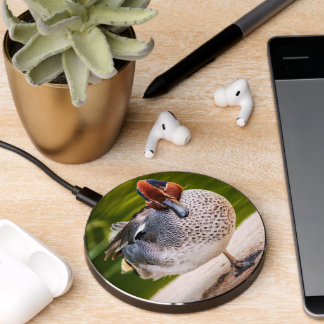 Duck Gets A Leg Up Wireless Charger