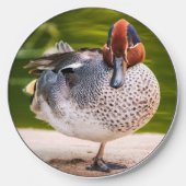 Duck Gets A Leg Up Wireless Charger (Front)