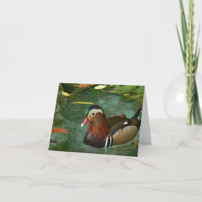 Duck Greeting Cards (Front)