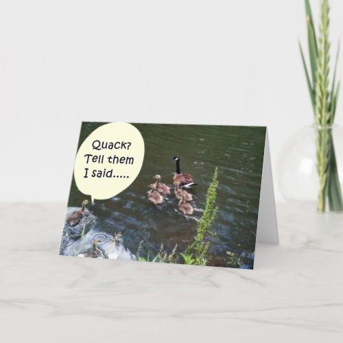 DUCK HUMOR GROUP BIRTHDAY CARD FOR ALL