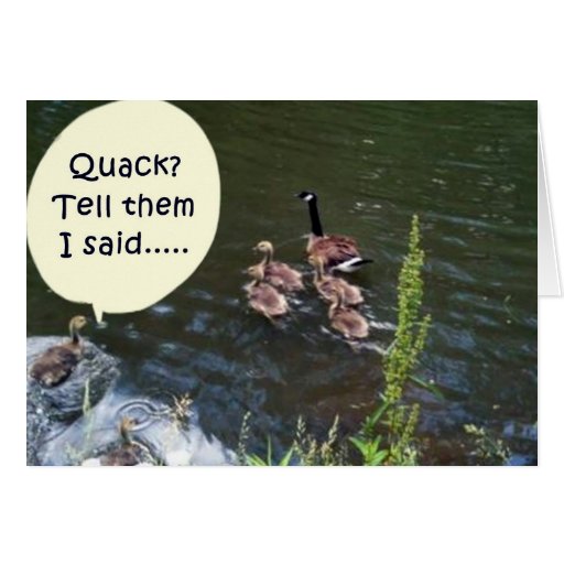 DUCK HUMOR GROUP BIRTHDAY CARD FOR ALL | Zazzle