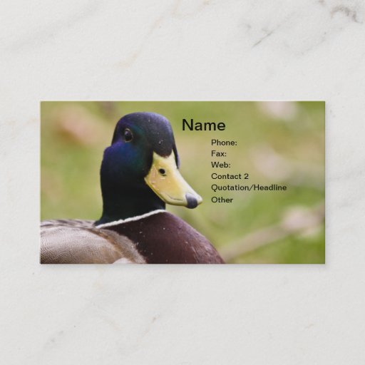 Customizable Duck Hunting Business Card