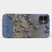 Duck Hunting - Pintail Ducks Flying Case-Mate iPhone Case (Back (Horizontal))