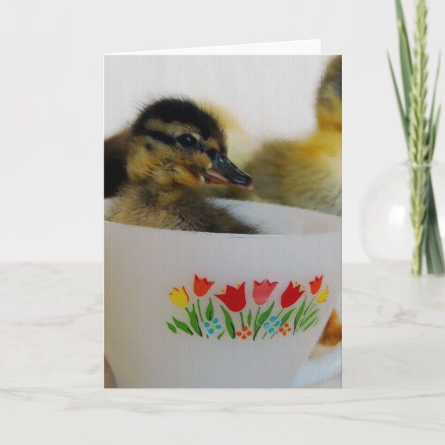 Duck in a Teacup 2 Card (Front)