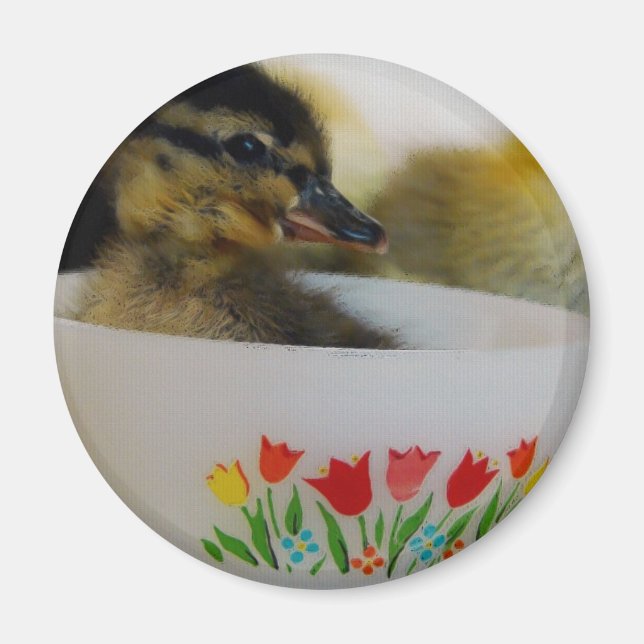 Duck in a Teacup 2 Magnet (Front)
