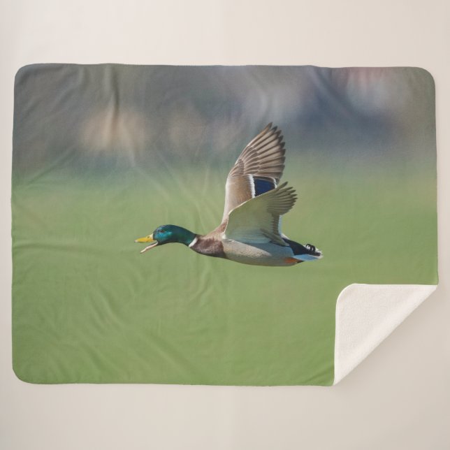 DUCK in FLIGHT Sherpa Blanket (Front (Horizontal))