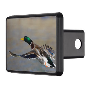 duck in flight trailer hitch cover