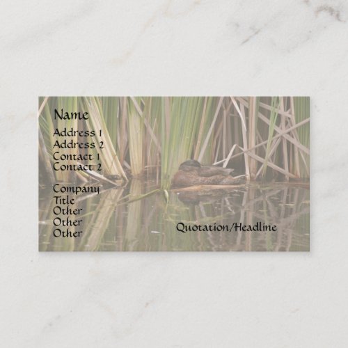 Duck in Reeds Business Card