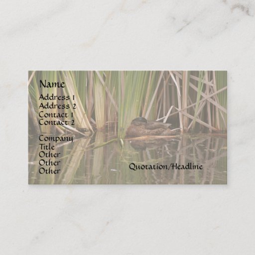 Customizable Duck in Reeds Business Card