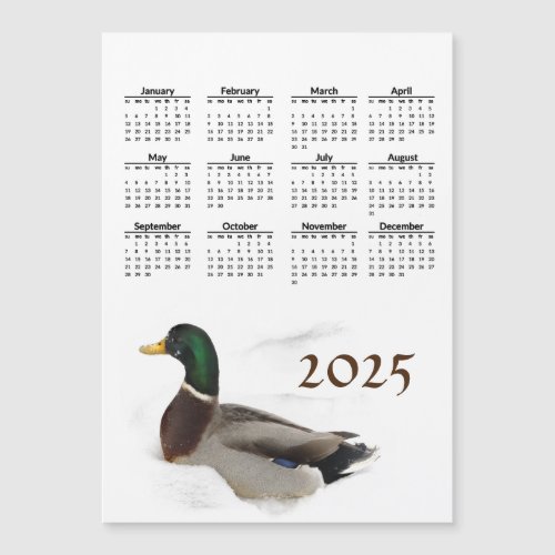 Duck in Snow 2025 Calendar Magnetic Card