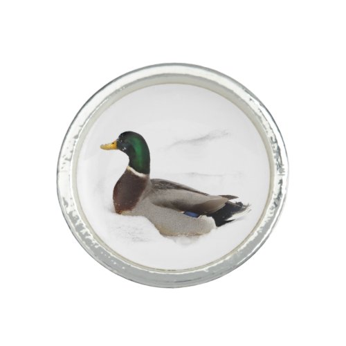 Duck in Snow Ring