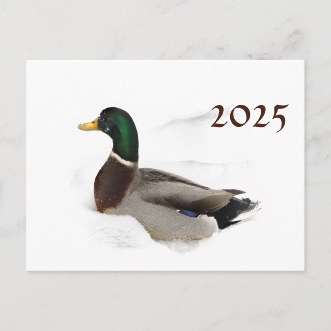 Duck in Snow with 2025 Calendar on Back Postcard