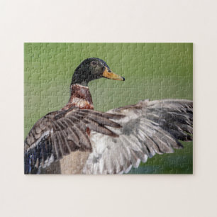 Duck in the Hudson Valley Jigsaw Puzzle