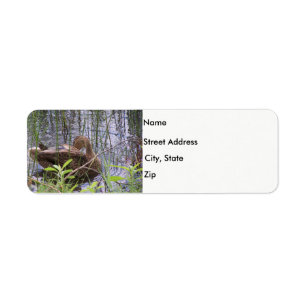 Duck in the reeds label