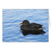 Duck in Water (Front Horizontal)