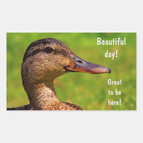 Duck Inspirational Nature Rectangular Sticker