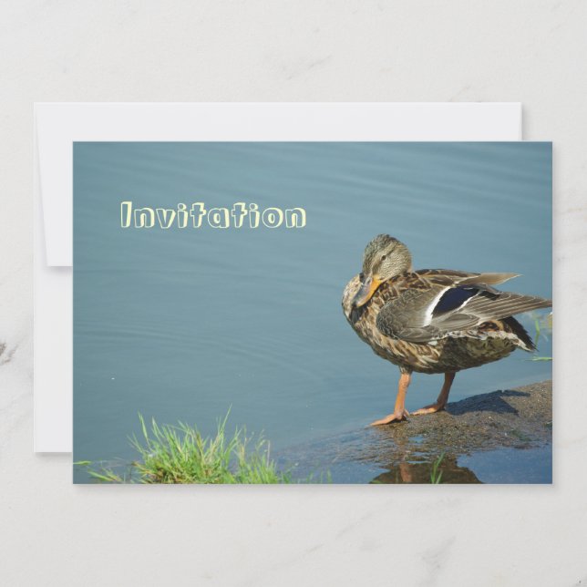 Duck Invitation (Front)
