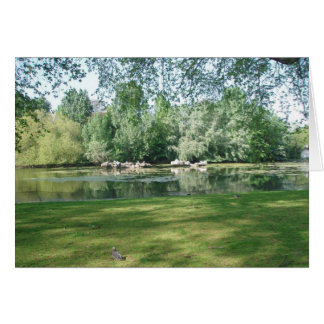 Duck Island, St. James Park Cards