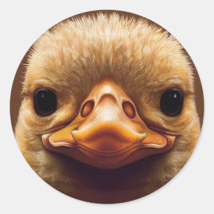 Duck Life Like Portrait Beak with Yellow Feathers Classic Round Sticker