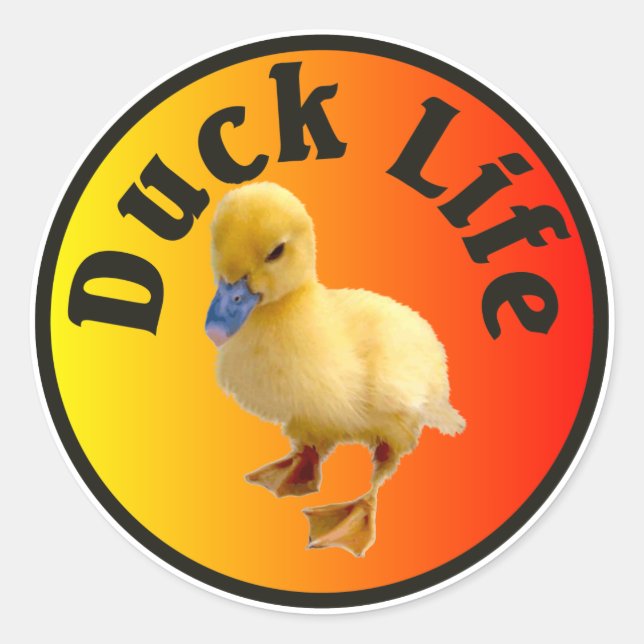 Duck Life Sticker (Front)