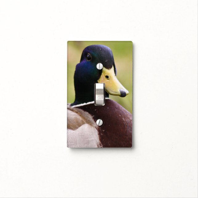 Duck Light Switch Cover (In Situ)