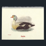 Duck Lithographs - from Birds of New York - Calendar<br><div class="desc">Antiquarian lithographs of ducks from an 1844 book, “Zoology of New York, or the New-York Fauna, Part II, Birds.” They are all very high resolution, providing intricate detail and wonderful resolution. The artwork is by J. W. Hill, and the author of the book is James De Kay. Often referred to...</div>