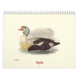 Duck Lithographs - from Birds of New York - Calendar
