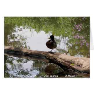 Duck Loafing Cards