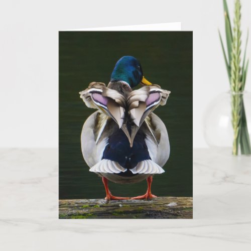 Duck Love Thank You Card