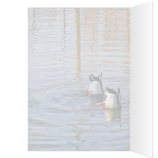 Duck Lunch (Inside (Left))