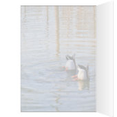 Duck Lunch Cards (Inside (Left))