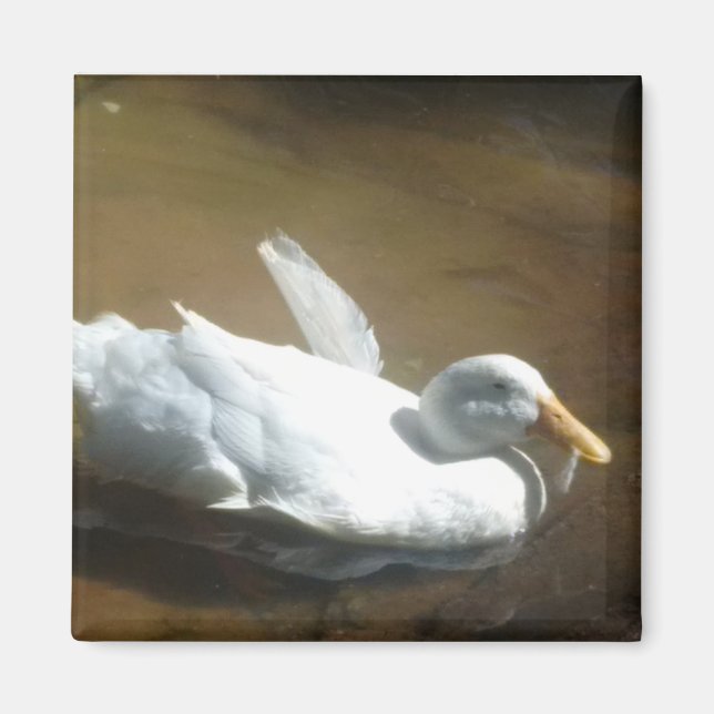 Duck Magnet (Front)