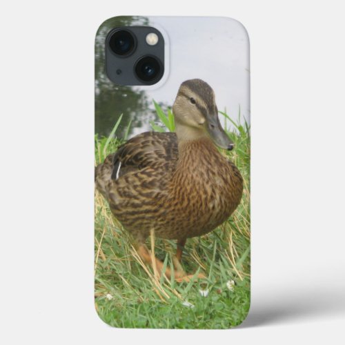 Duck Mallard Female Bird Water Photo iPhone 13 Case