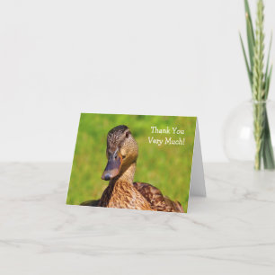 Duck Mallard Nature Letterpress Thank You Card