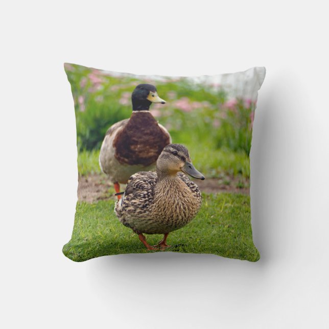 Duck Mallard Pair Throw Pillow (Front)