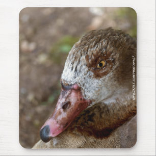 Duck Mouse Pad