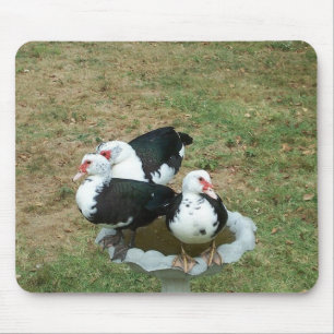 Duck Mousepad