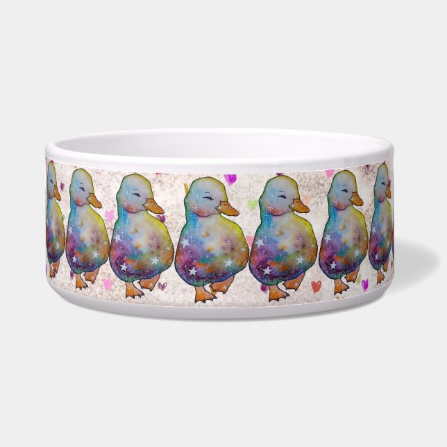 Duck named Rainbow Bowl (Front)