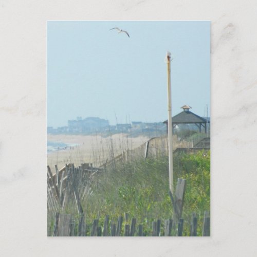 Duck North Carolina Coastline Postcard